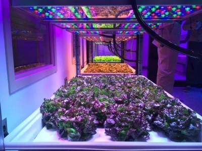 汽车｜植物｜智能｜OLED｜景观照明 五大市场前景与智能照明的核心驱动
